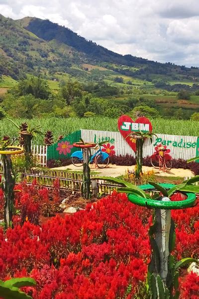 30 Amazing Bukidnon Tourist Spots .
